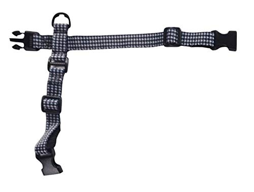 Collar - Checker Color