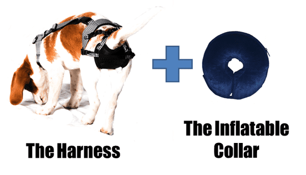 Premium Plus Delay her Spay System Includes Harness and