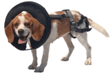 Protective Inflatable Dog Collar for Stopping Bite-Offs.