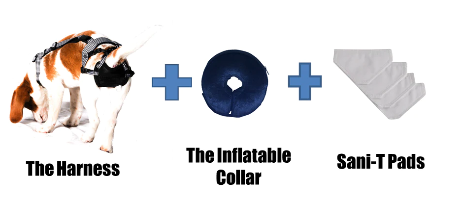 PABS® Premium Plus Plus Delay her SpayTM System (Includes Harness, Inflatable Collar, and Sani-T Pads)