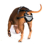 PABS® Premium Plus Plus Delay her SpayTM System (Includes Harness, Inflatable Collar, and Sani-T Pads)