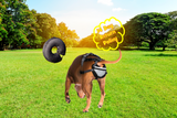 PABS® Premium Plus Delay her SpayTM System (Includes Harness and Inflatable Collar)