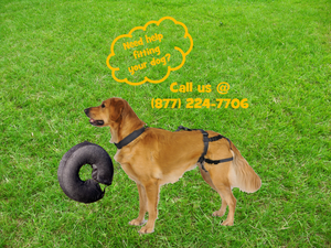 PABS® Premium Plus Delay her SpayTM System (Includes Harness and Inflatable Collar)