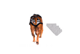 PABS® Delay Her SpayTM Dog Breeding-Prevention Harness