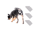 PABS® Delay her SpayTM Harness and Diaper System Combo
