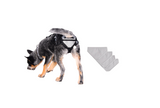 PABS® Delay her SpayTM Harness and Diaper System Combo