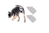PABS® Delay her SpayTM Harness and Diaper System Combo