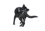 PABS® Premium Plus Plus Delay her SpayTM System (Includes Harness, Inflatable Collar, and Sani-T Pads)