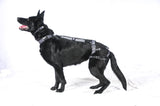 PABS® Premium Plus Delay her SpayTM System (Includes Harness and Inflatable Collar)