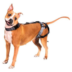 Premium Plus Delay her Spay System (Includes Harness and Inflatable Collar).