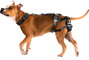 Premium Plus Plus Delay her Spay System (Includes Harness, Inflatable Collar, and Sani-T Pads)